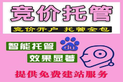 某大企业SEM竞价托管的转变之路
